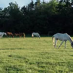 Rekreacni A Jezdecky Areal Equifarm 別荘