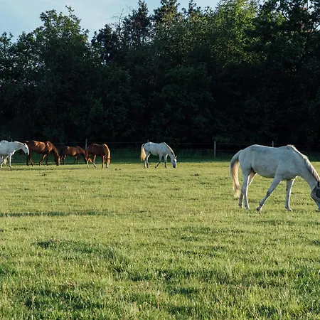 Rekreacni A Jezdecky Areal Equifarm Semesterbostad